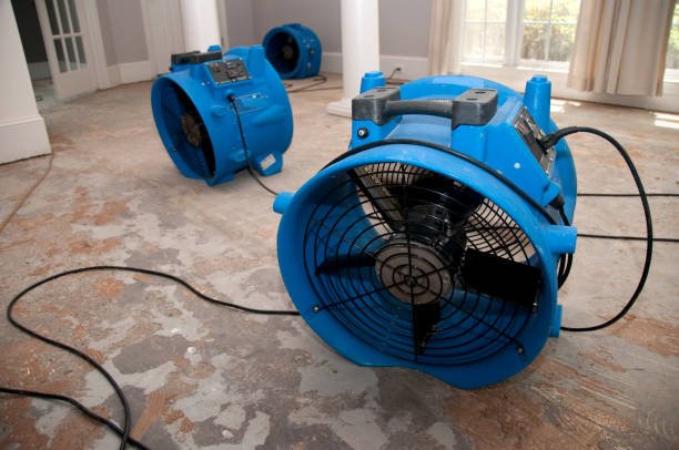 Best Flood damage cleanup  in Glen Alpine, NC