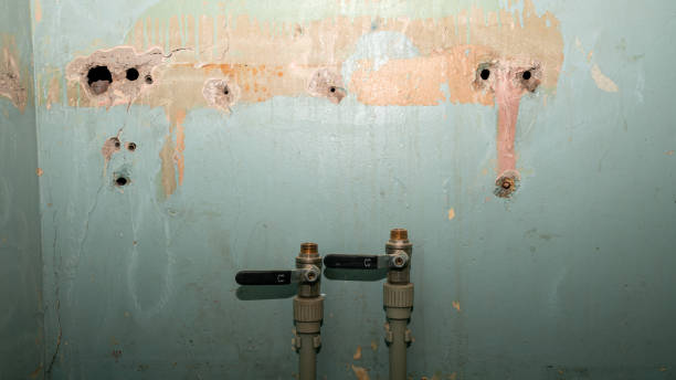 Best Water damage restoration near me  in Glen Alpine, NC