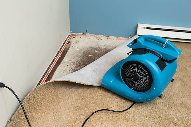 Best 24/7 water damage repair  in Glen Alpine, NC
